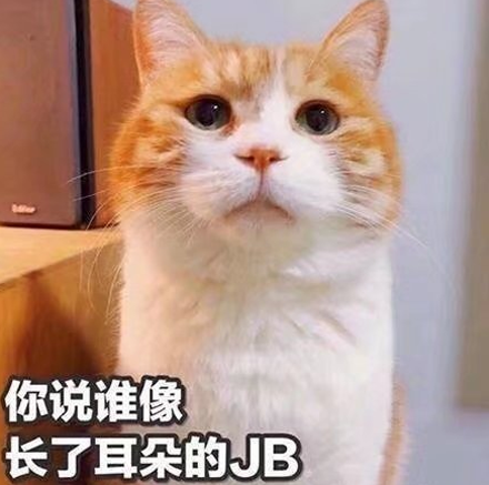 xjb啥意思？  第2张