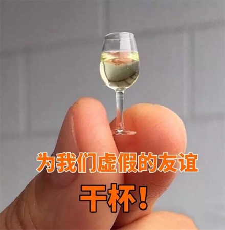 塑料友谊啥意思  第3张