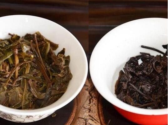 生茶与熟茶的区别-如何快速分辨生茶与熟茶  第4张