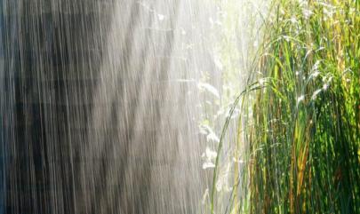 雨水是二十四节气中的第几个节气？有什么习俗  第1张