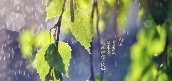 雨水是二十四节气中的第几个节气？有什么习俗  第4张