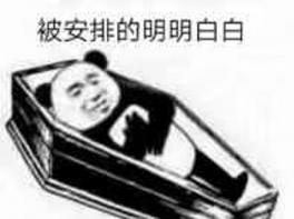 安排上了是什么梗？  第2张