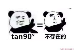 tan90°是什么意思？  第1张