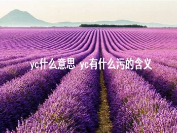 yc什么意思 yc有什么污的含义  第1张