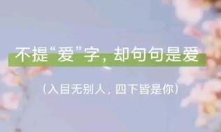 只字不提爱句句都是爱的经典句子，字里行间都是满满的爱意  第1张