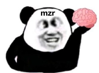 mzr是什么意思？  第1张