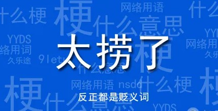 太捞了是什么意思？  第1张