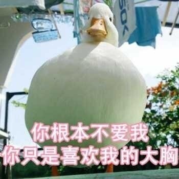 情侣专用甜蜜聊天表情包  第4张