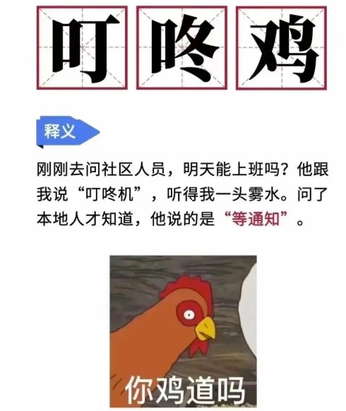 叮咚鸡什么意思？叮咚鸡梗出处  第1张