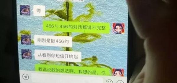 网络用语456是什么意思？  第1张