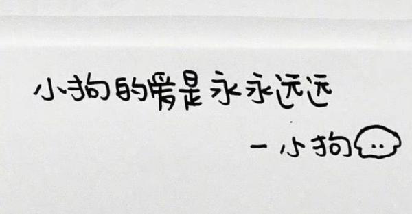 小狗文学是什么？小狗文学为何走红网络？  第1张